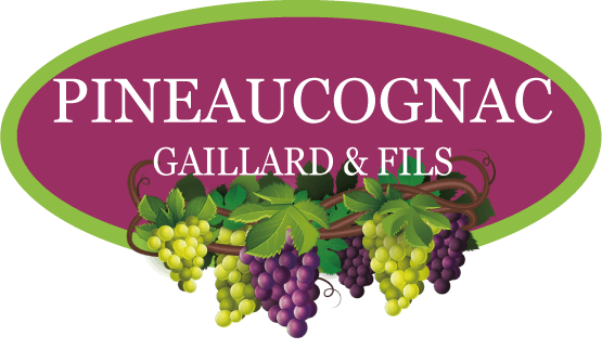 logo site pineau-cognac.fr